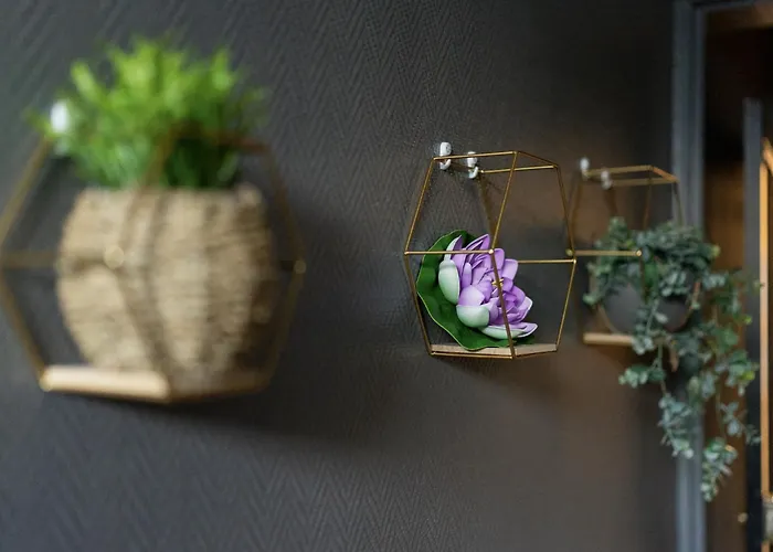#Nouveau@Nature&Beaut#